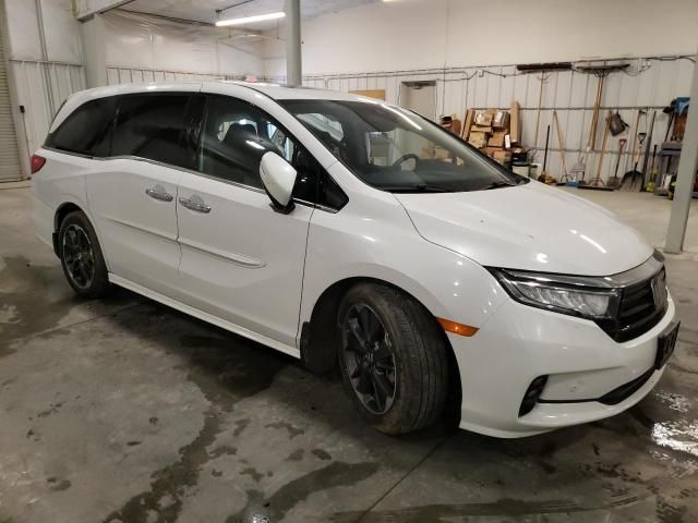 2023 Honda Odyssey Elite