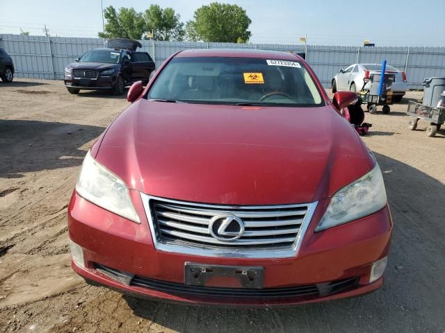 2010 Lexus ES 350