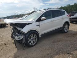 Ford Escape salvage cars for sale: 2015 Ford Escape Titanium