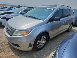 2012 Honda Odyssey EXL for sale in Littleton, CO