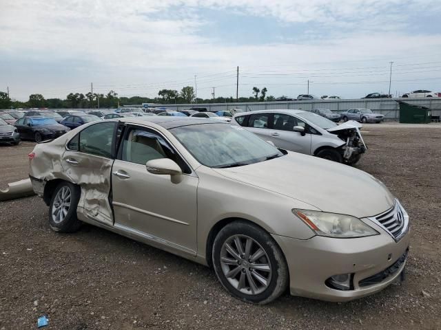 2010 Lexus ES 350