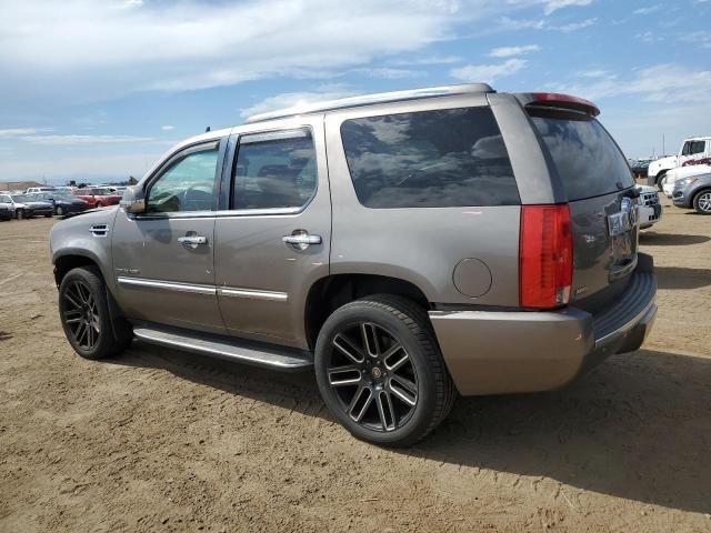 2011 Cadillac Escalade Luxury