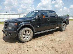 Ford f-150 salvage cars for sale: 2014 Ford F150 Supercrew