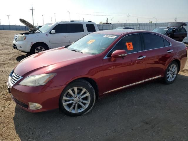 2010 Lexus ES 350