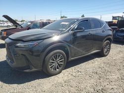 Lexus nx 350h ba salvage cars for sale: 2024 Lexus NX 350H Base