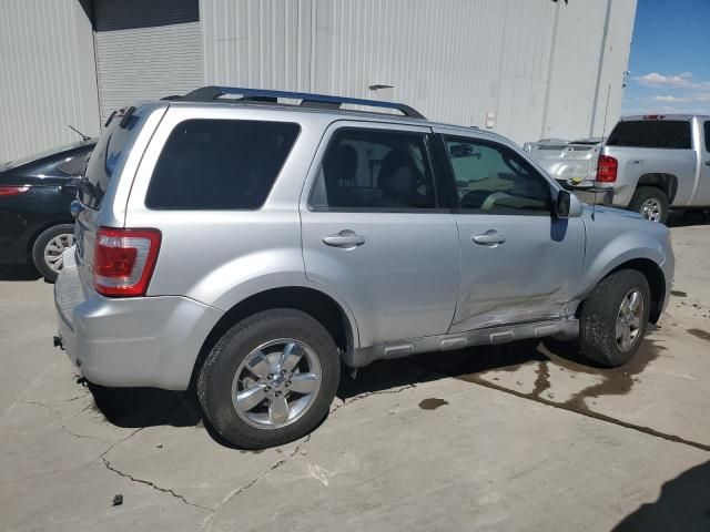 2010 Ford Escape Limited