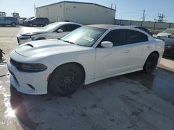 2020 Dodge Charger Scat Pack for sale in Haslet, TX