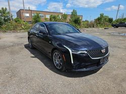 Cadillac ct4 salvage cars for sale: 2021 Cadillac CT4 Premium Luxury