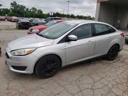 Ford Focus salvage cars for sale: 2017 Ford Focus SE