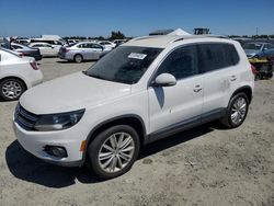 Vehiculos salvage en venta de Copart Antelope, CA: 2014 Volkswagen Tiguan S