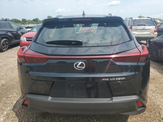 2024 Lexus UX 250H Premium