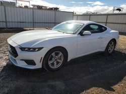 2024 Ford Mustang for sale in Kapolei, HI