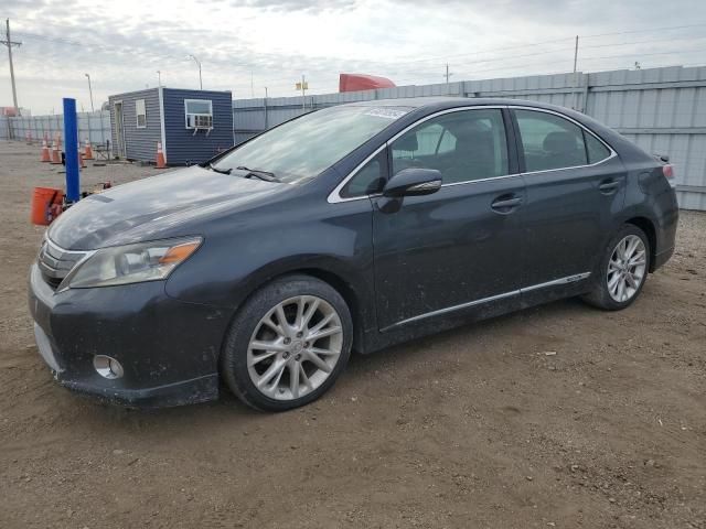 2010 Lexus HS 250H