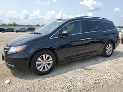 Honda Vehiculos salvage en venta: 2014 Honda Odyssey EXL