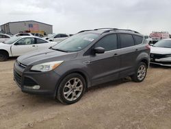 Salvage cars for sale from Copart Amarillo, TX: 2013 Ford Escape SE