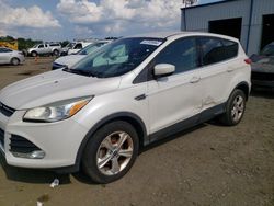 Ford Vehiculos salvage en venta: 2013 Ford Escape SE