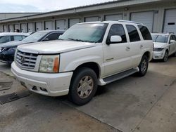 Cadillac salvage cars for sale: 2004 Cadillac Escalade Luxury