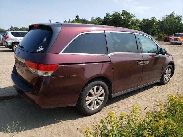 2014 Honda Odyssey EXL