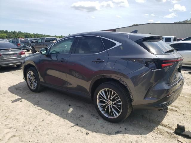 2022 Lexus NX 350