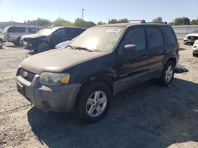 2006 Ford Escape HEV