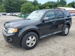 Ford salvage cars for sale: 2011 Ford Escape XLT