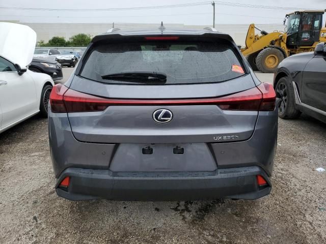 2019 Lexus UX 250H