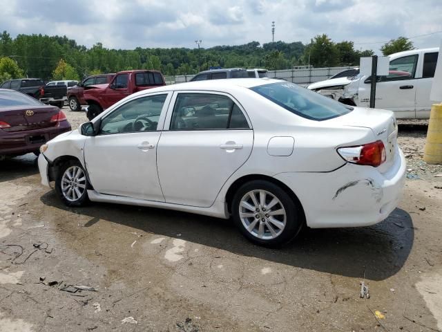 2009 Toyota Corolla Base