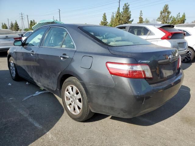 2009 Toyota Camry Hybrid