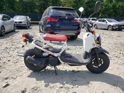 Honda Ruckus salvage cars for sale: 2018 Honda NPS50