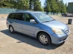 2005 Honda Odyssey EXL