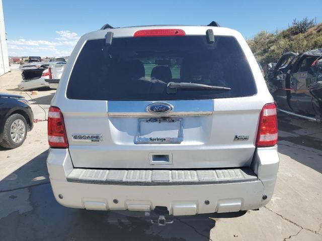 2010 Ford Escape Limited