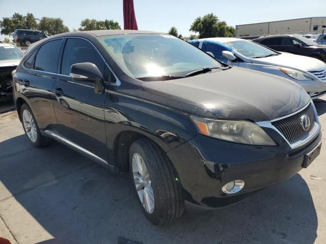 2010 Lexus RX 450