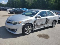 Salvage cars for sale from Copart Glassboro, NJ: 2013 Toyota Camry L