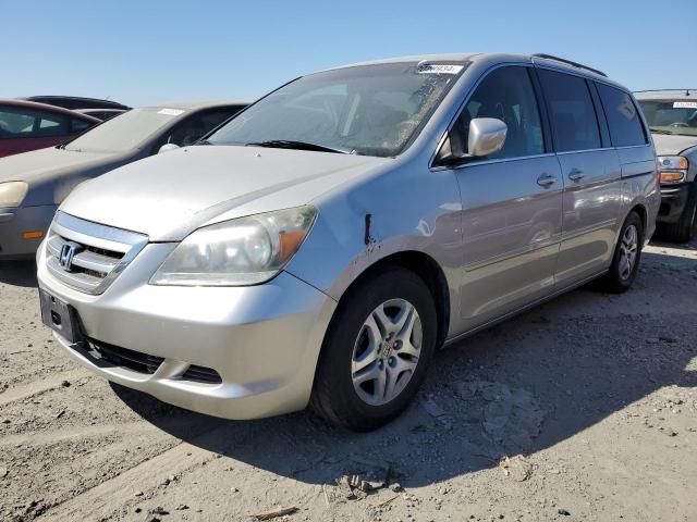 2006 Honda Odyssey EX