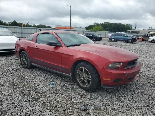 2010 Ford Mustang