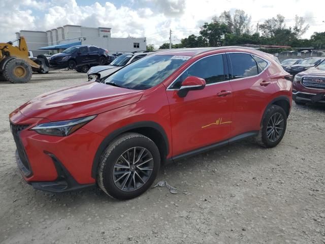 2022 Lexus NX 350