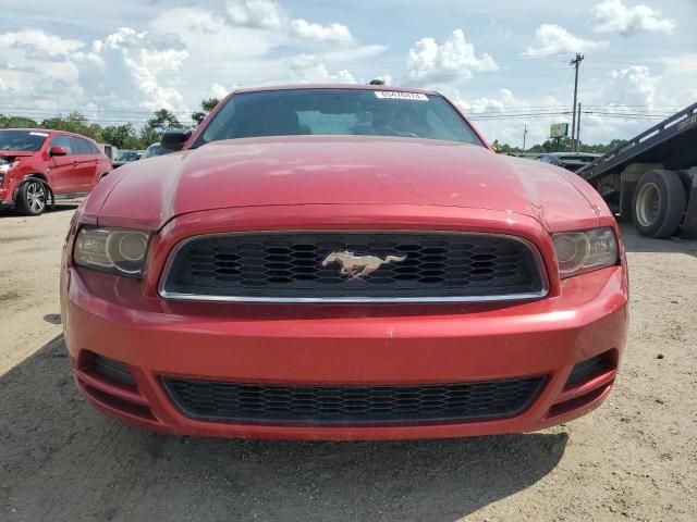 2013 Ford Mustang