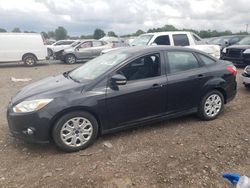 Ford Vehiculos salvage en venta: 2012 Ford Focus SE