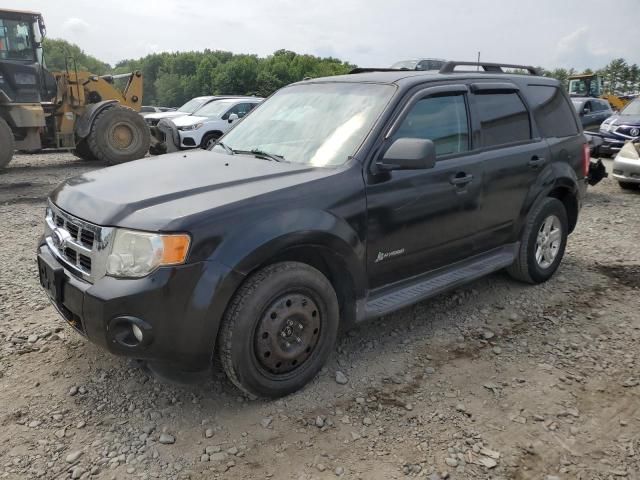 2012 Ford Escape Hybrid