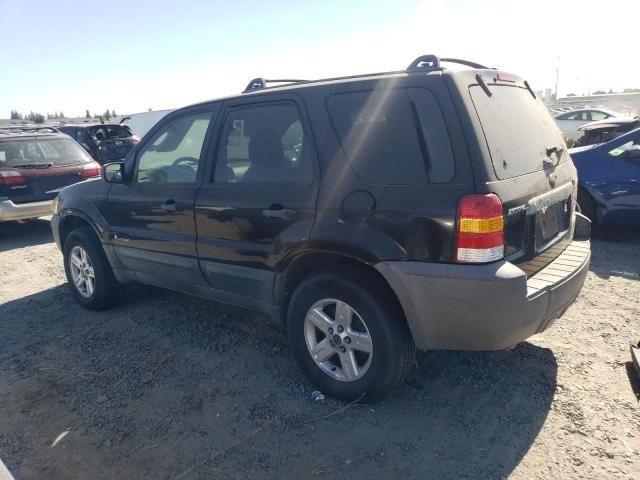 2006 Ford Escape HEV