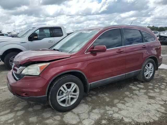 2010 Honda CR-V EXL