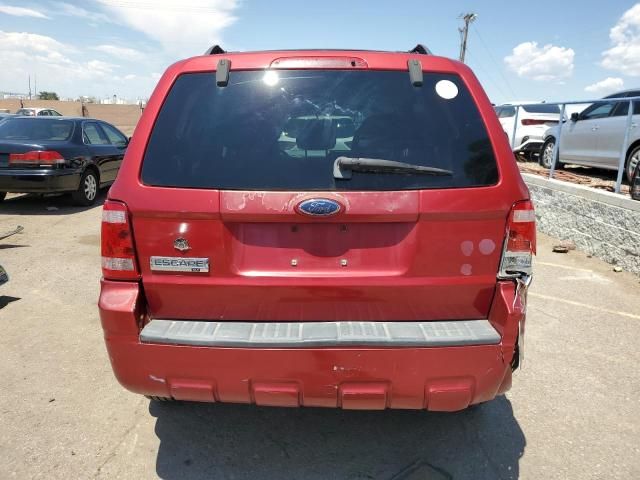 2008 Ford Escape XLT