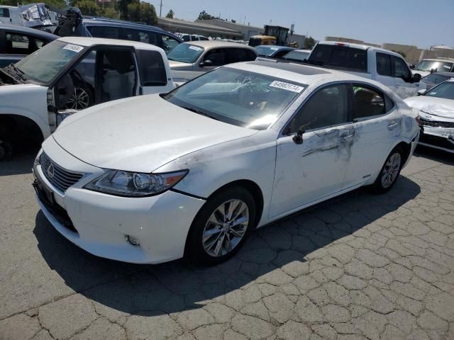 2014 Lexus ES 300H