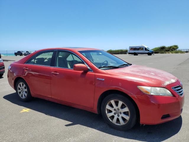 2007 Toyota Camry Hybrid