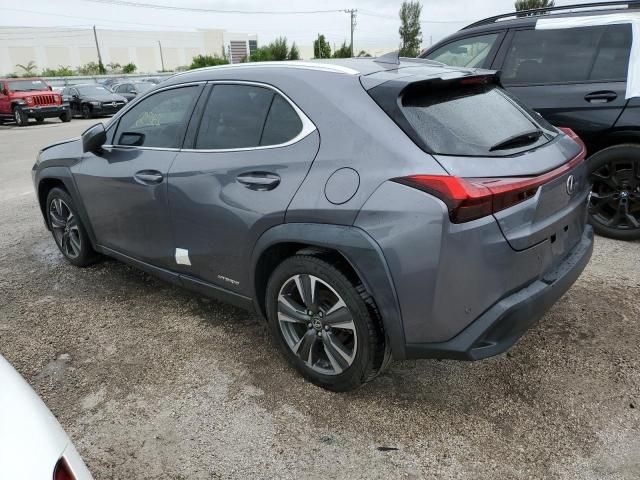 2019 Lexus UX 250H