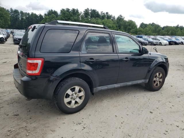 2010 Ford Escape Limited