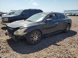 Nissan Maxima salvage cars for sale: 2014 Nissan Maxima S