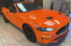 Ford salvage cars for sale: 2019 Ford Mustang