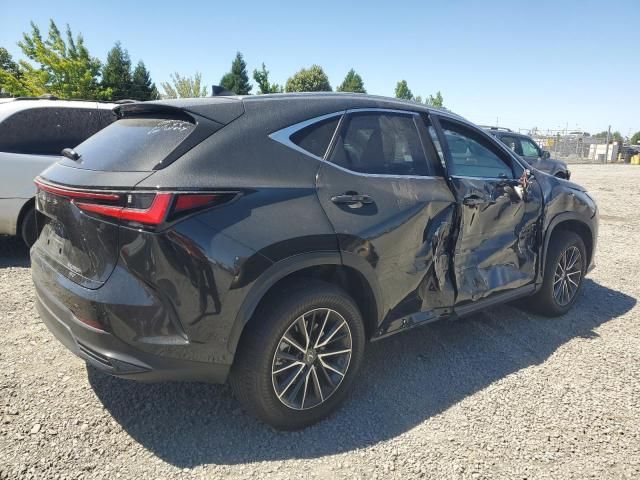 2024 Lexus NX 350H Base