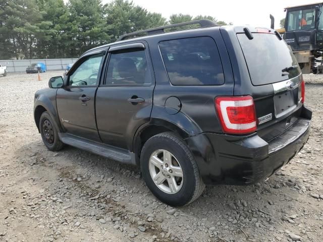 2012 Ford Escape Hybrid